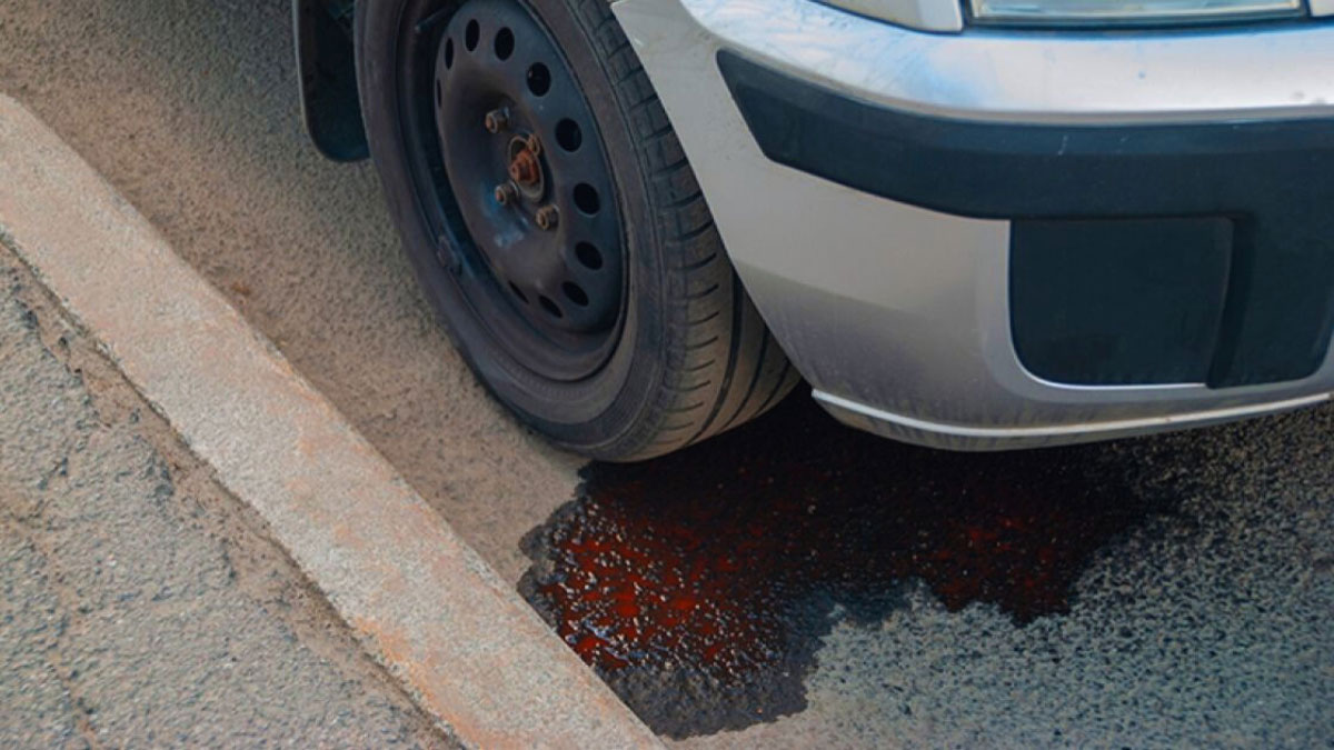 Is Your Car Dripping Fluid from the Bottom